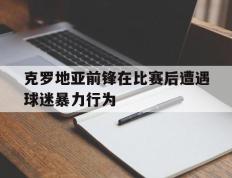 克罗地亚前锋在比赛后遭遇球迷暴力行为的简单介绍